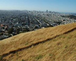 image of Threatened Grasslands